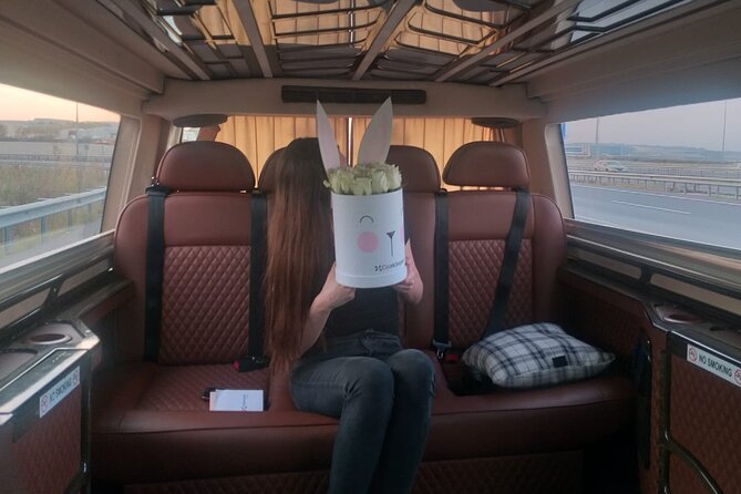 Private Istanbul Airport (IST) Transfer To/From City Center - What the 4.6 rating means in practice