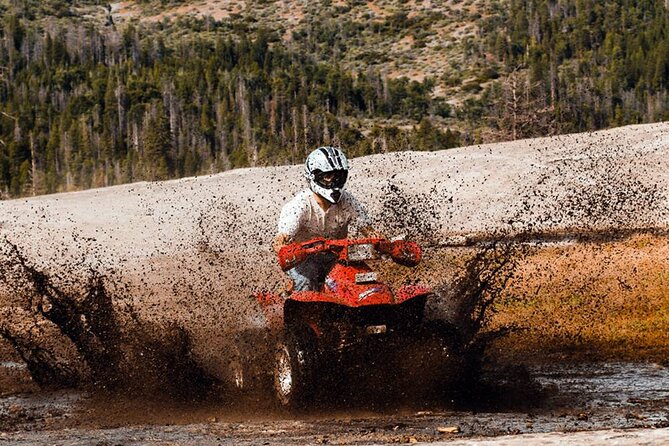 Quad Safari Experience in Alanya (Adventure Tour) w/ Free Hotel Transfer - How to prepare for a cleaner, safer ride