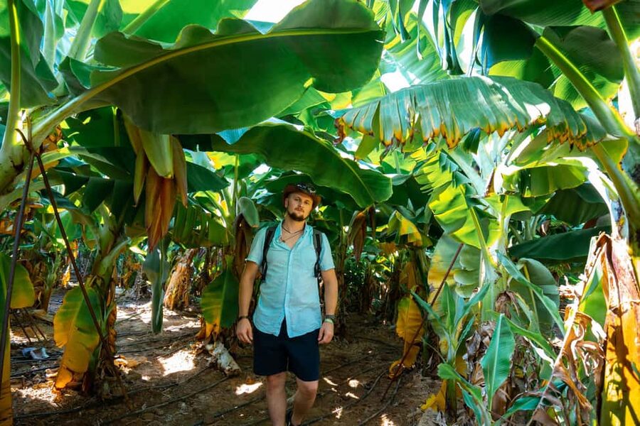 Sapadere Tour with Dimçay Lunch, Cave, Tropical Fruit Garden - How good is the value at $22?