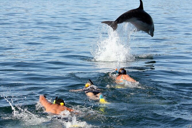 Side Dolphin Island Boat Trip With Lunch And Soft Drinks - Morning pickup from Side and Kumköy Beach