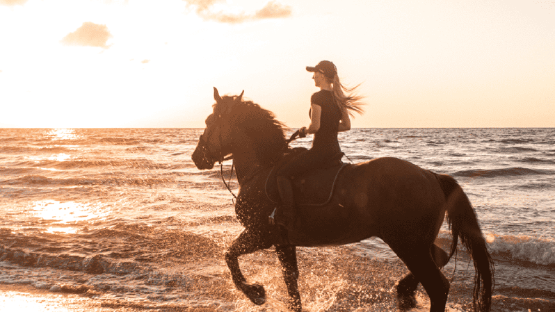 Side: Horseback Riding Tour in Nature - Quick facts about the Side horseback ride