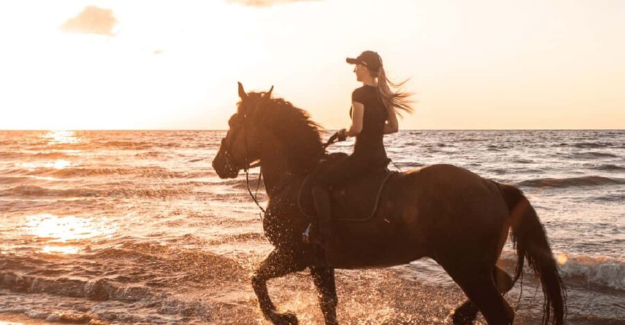 Side: Horseback Riding Tour in Nature - What the $58 price gets you