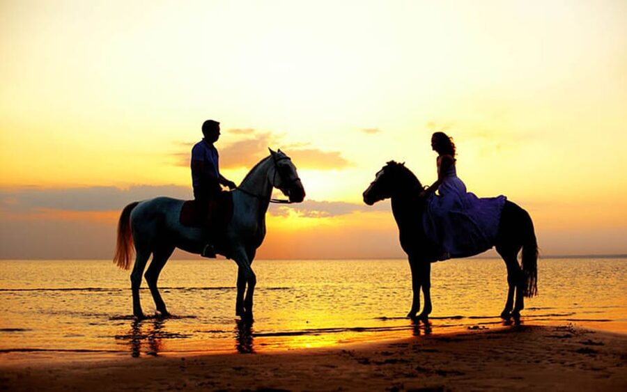 Side: Horseback Riding Tour in Nature - Lessons, helmets, and getting comfortable