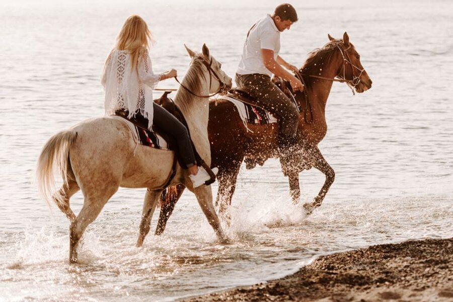 Side: Horseback Riding Tour in Nature - Who will enjoy this ride most