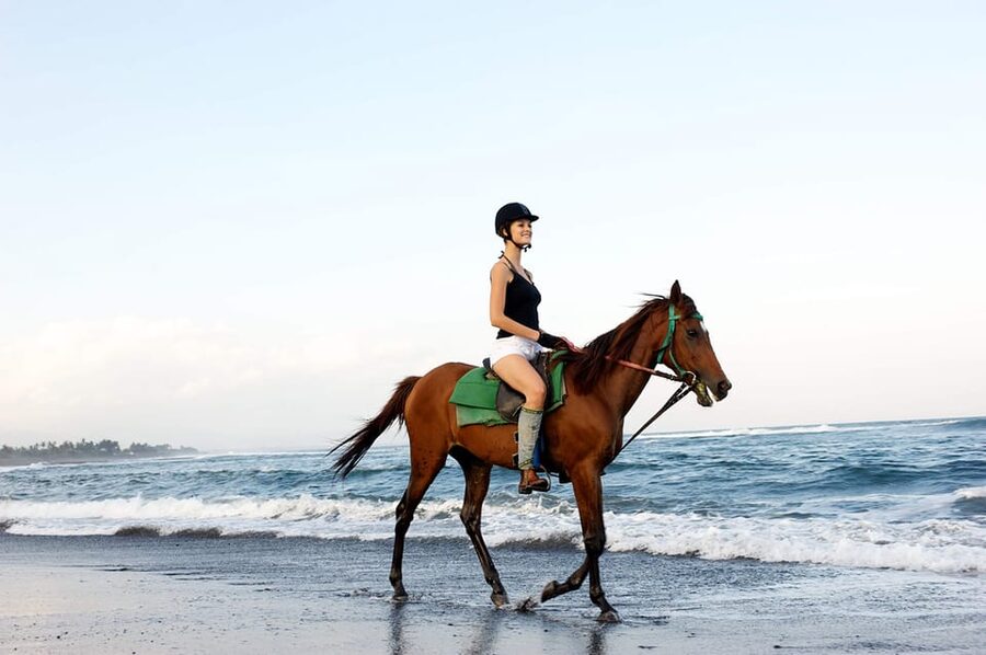 Side: Horseback Riding Tour in Nature - What to bring and what to ask