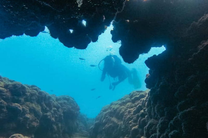Side: Scuba Diving, Underwater Museum, 2 Dives incl. Lunch - Key points before you book