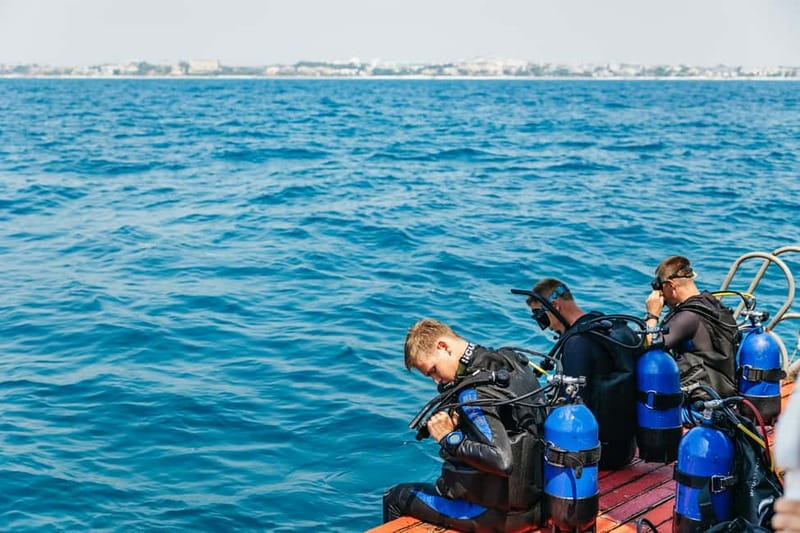 Side: Scuba Diving, Underwater Museum, 2 Dives incl. Lunch - Certified participants can choose their equipment
