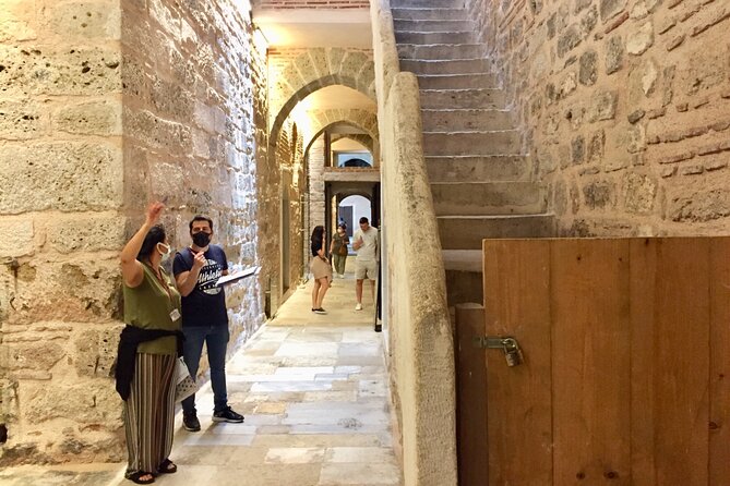 Topkapı Palace with Harem & Blue Mosque Guided Tour - Walking, queues, and what to wear