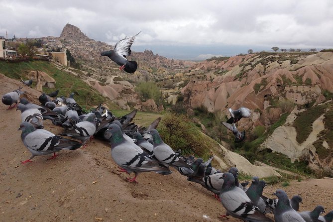 Tour of Highlights of Cappadocia with Lunch - Pigeon Valley gives you the grand view