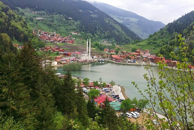 Uzungol Tour: Full-Day Nature Adventure with Tea Factory Visit - Arriving at Uzungol at 1,090 meters