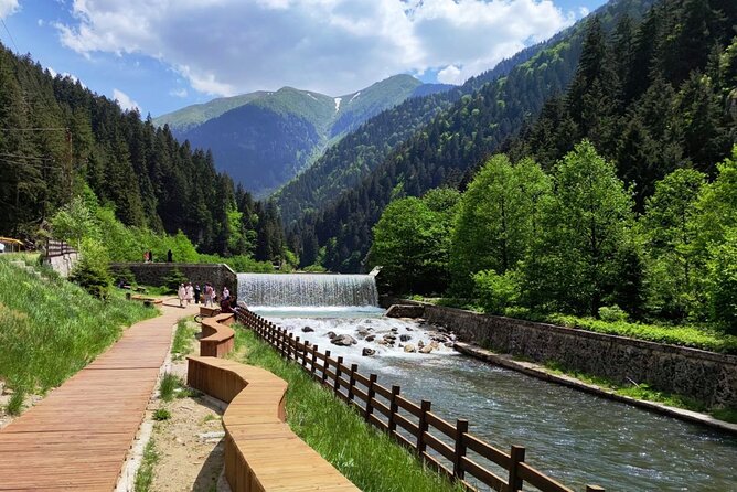 Uzungol Tour: Full-Day Nature Adventure with Tea Factory Visit - Guides, vehicles, and group size